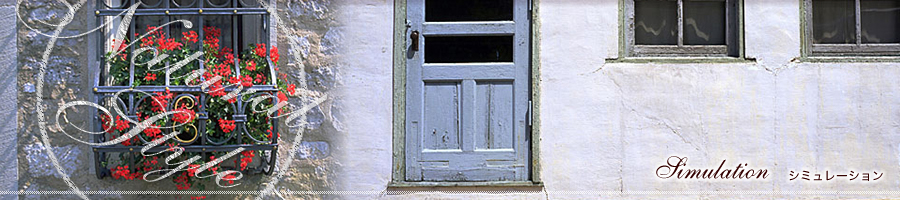 �V�~�����[�V����